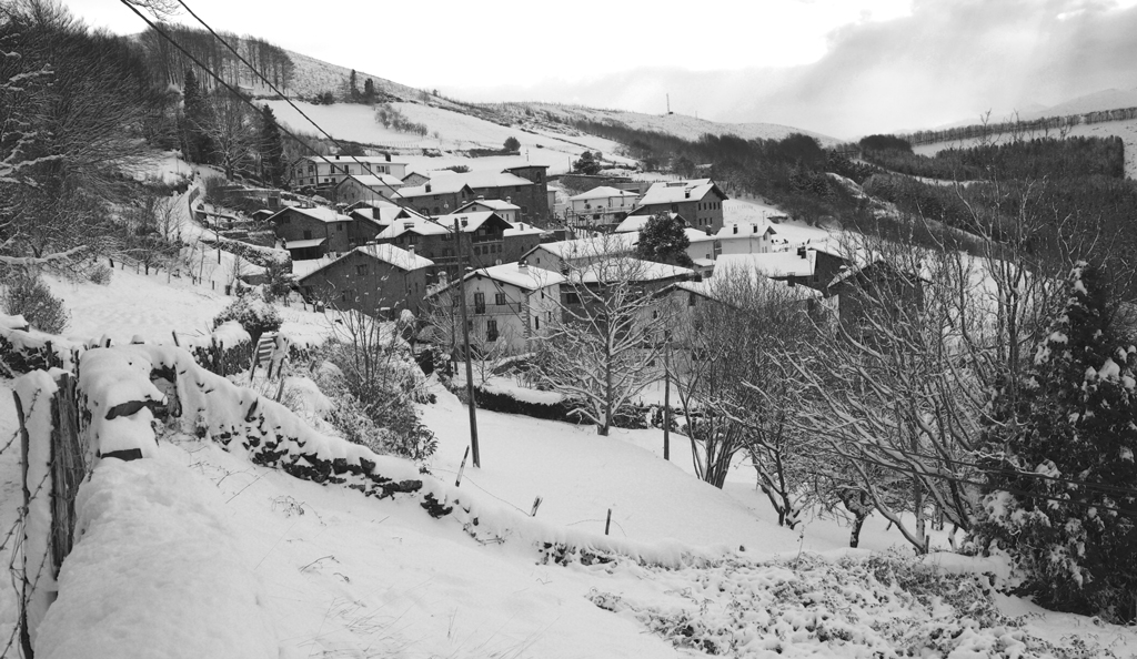 Arano bajo la nieve