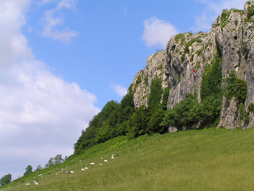 Santa Bárbara, Hernani