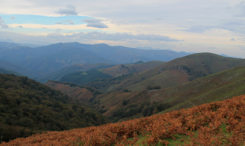 Paisaje en el recorrido de Loitzate