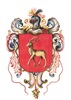 Escudo Goizueta