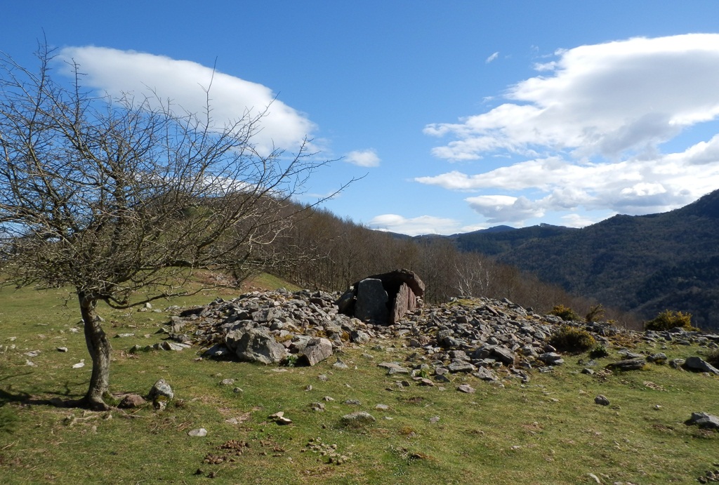 Akolatxa