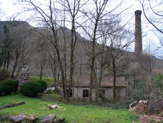 latxe-zaharra-txirrita