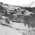 Arano bajo la nieve