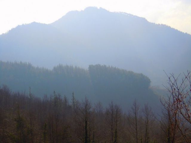 Epeleko Basoak