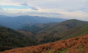Paisaje en el recorrido de Loitzate