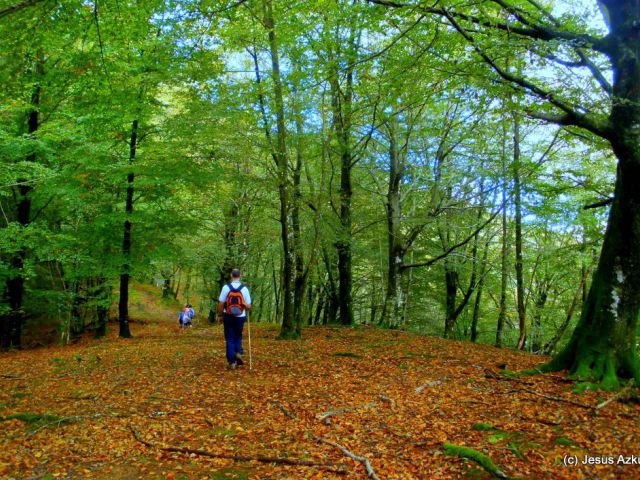 Oberango Pagadia