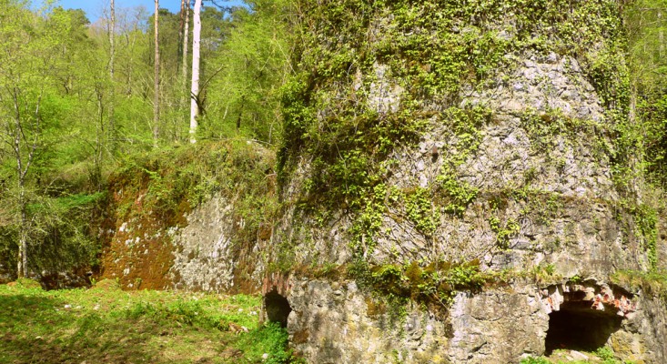 Elamako burdinola