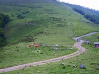 Mandoegi (Goizueta)