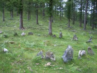 Aitasemegiko ibilbidea (Goizueta)