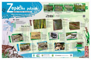 Zepadiko putzuak