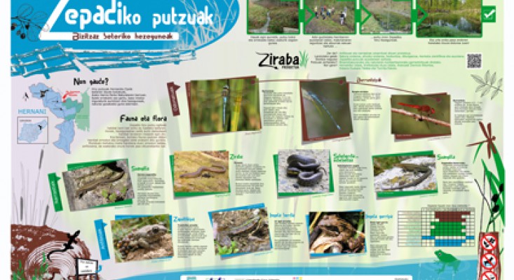 Zepadiko putzuak