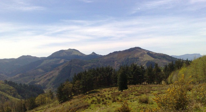 Oindiri bira (Hernani)
