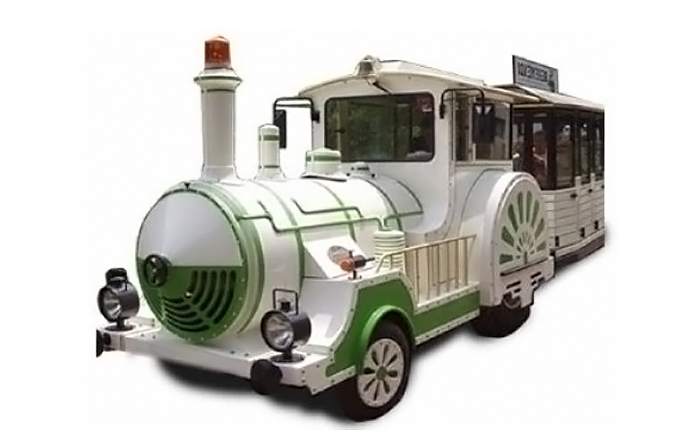 RECORRIDO EN EL TREN VERDE